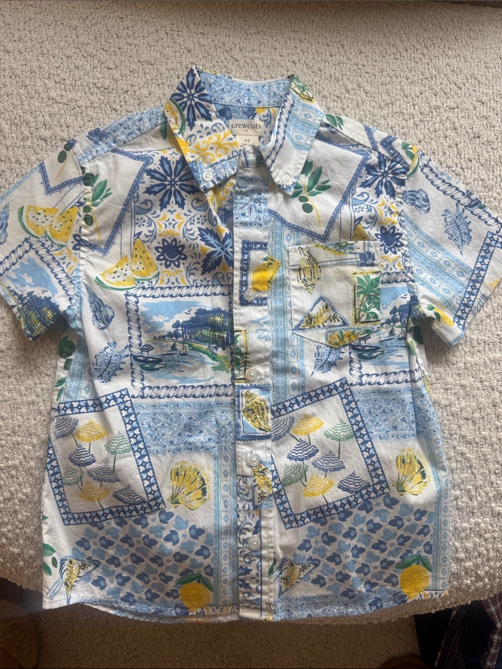Crewcuts Boys Coastal Lemon Print Button-Down Shirt Size 4–5